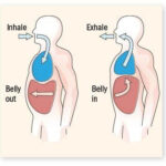 How Viral Pneumonia Treatments Stabilize Breathing Patterns